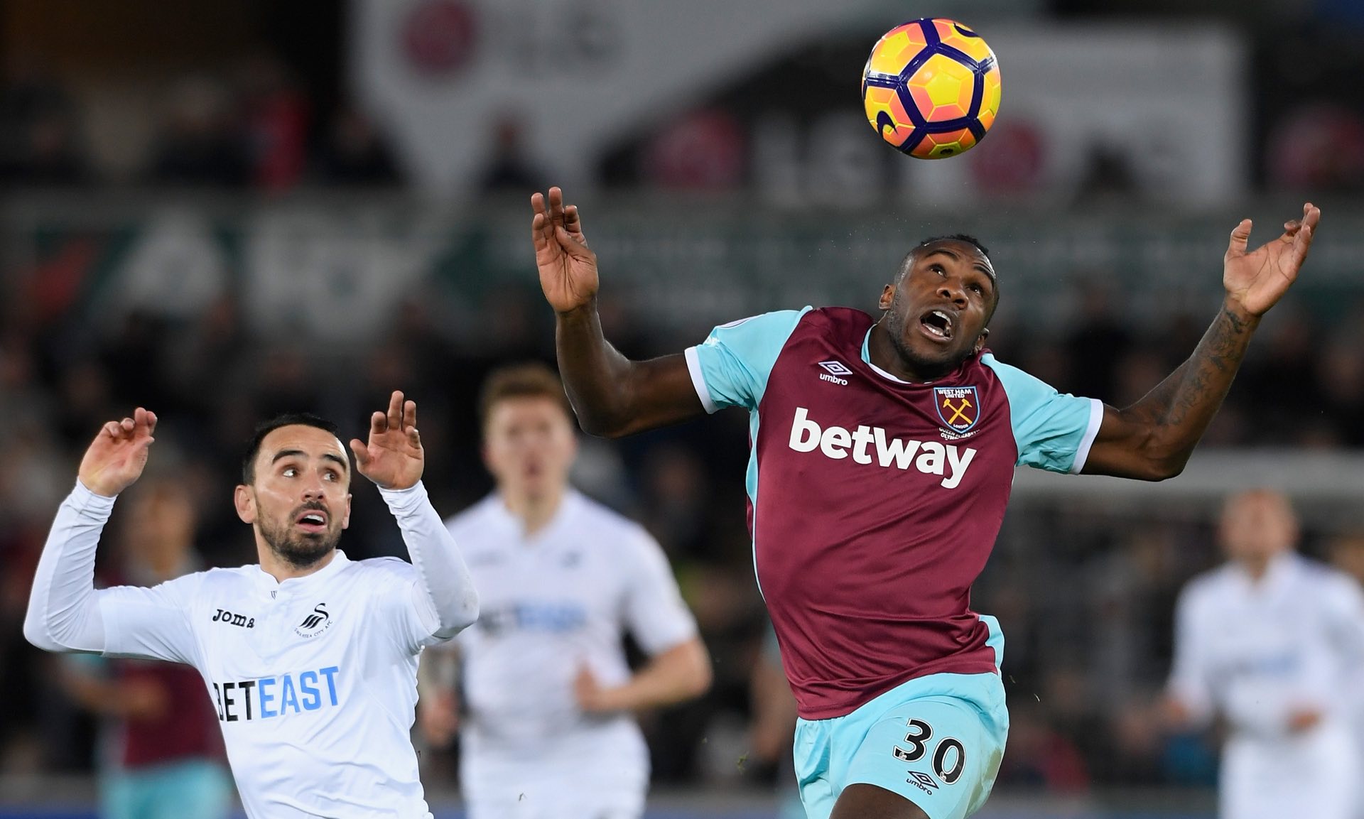 优雅谢幕的 优雅谢幕的